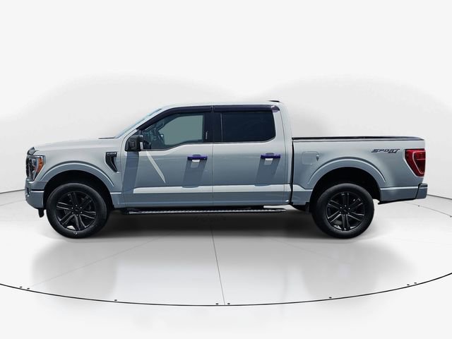 Used 2023 Ford F150 XLT w/ Equipment Group 302A High AWD/4WD image 6