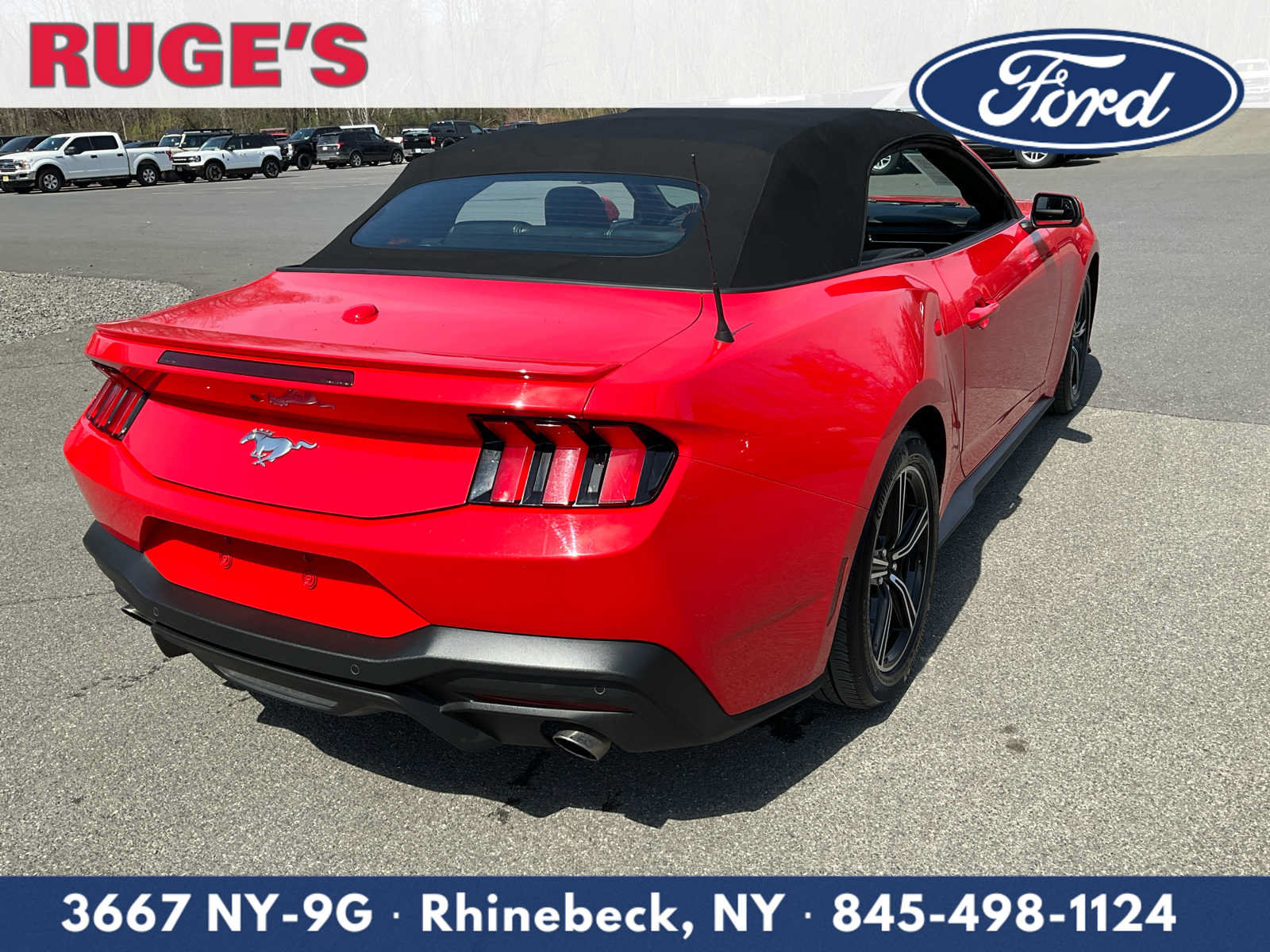 Used 2025 Ford Mustang Premium RWD image 14