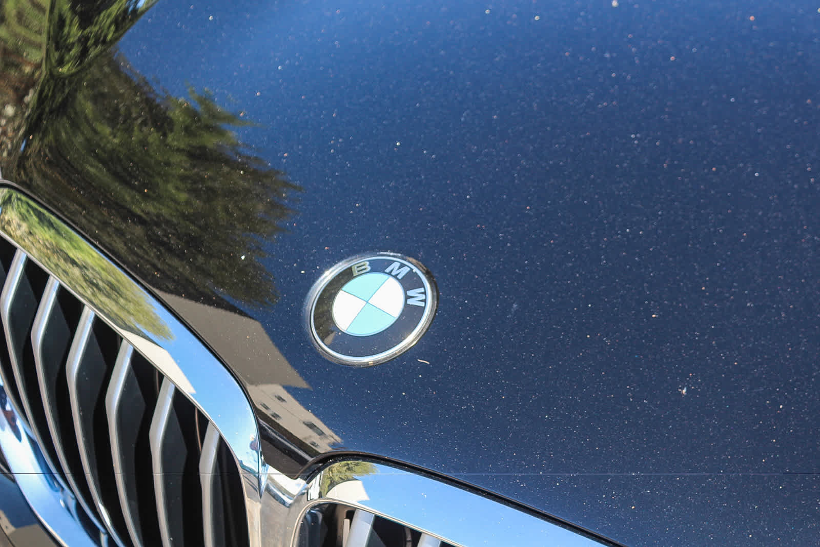 Used 2023 BMW X5 sDrive40i w/ Premium Package RWD image 9
