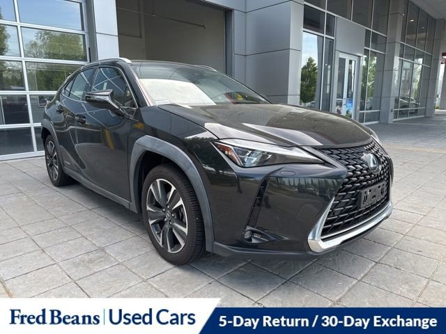 Used 2019 Lexus UX 250h w/ Cold Area Package AWD/4WD image 1