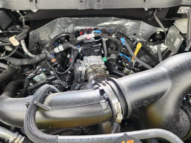 New 2026 Ford F150 XLT w/ Equipment Group 303A High AWD/4WD image 20