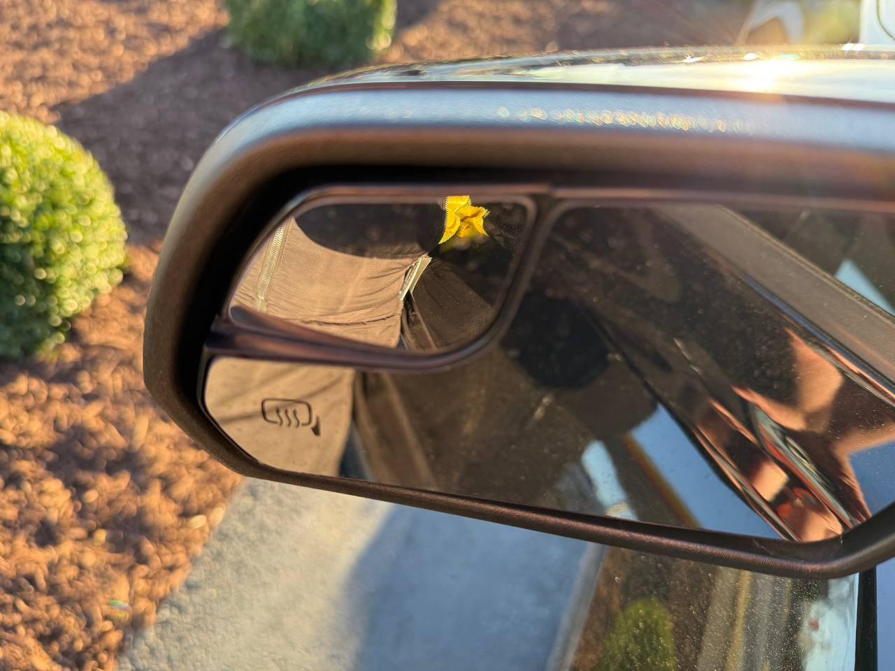 Used 2019 Ford Mustang GT Premium w/ Ford Safe & Smart Package image 13