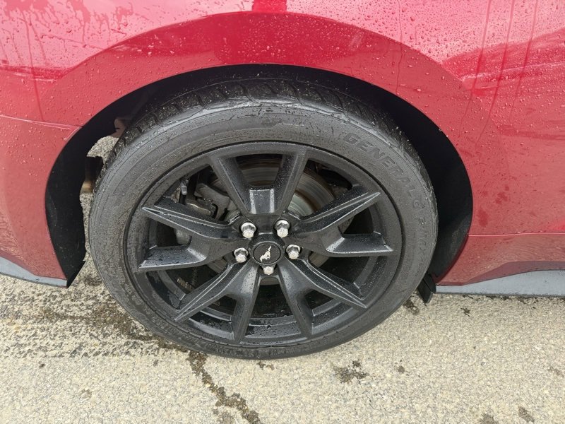 Used 2017 Ford Mustang GT Premium w/ Equipment Group 401A image 14