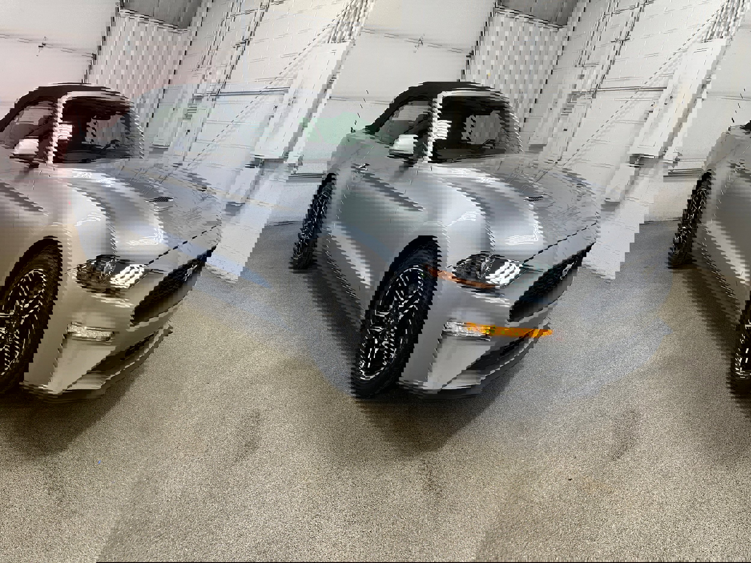 Certified 2023 Ford Mustang Premium image 3