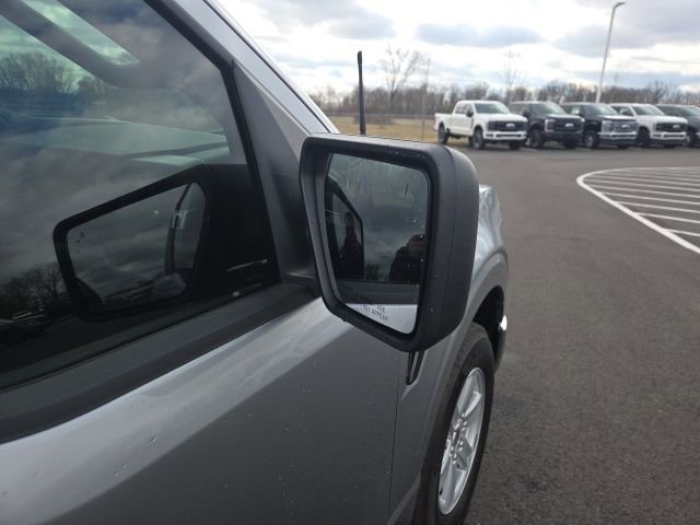Used 2024 Ford F150 XL w/ Equipment Group 103A High image 6