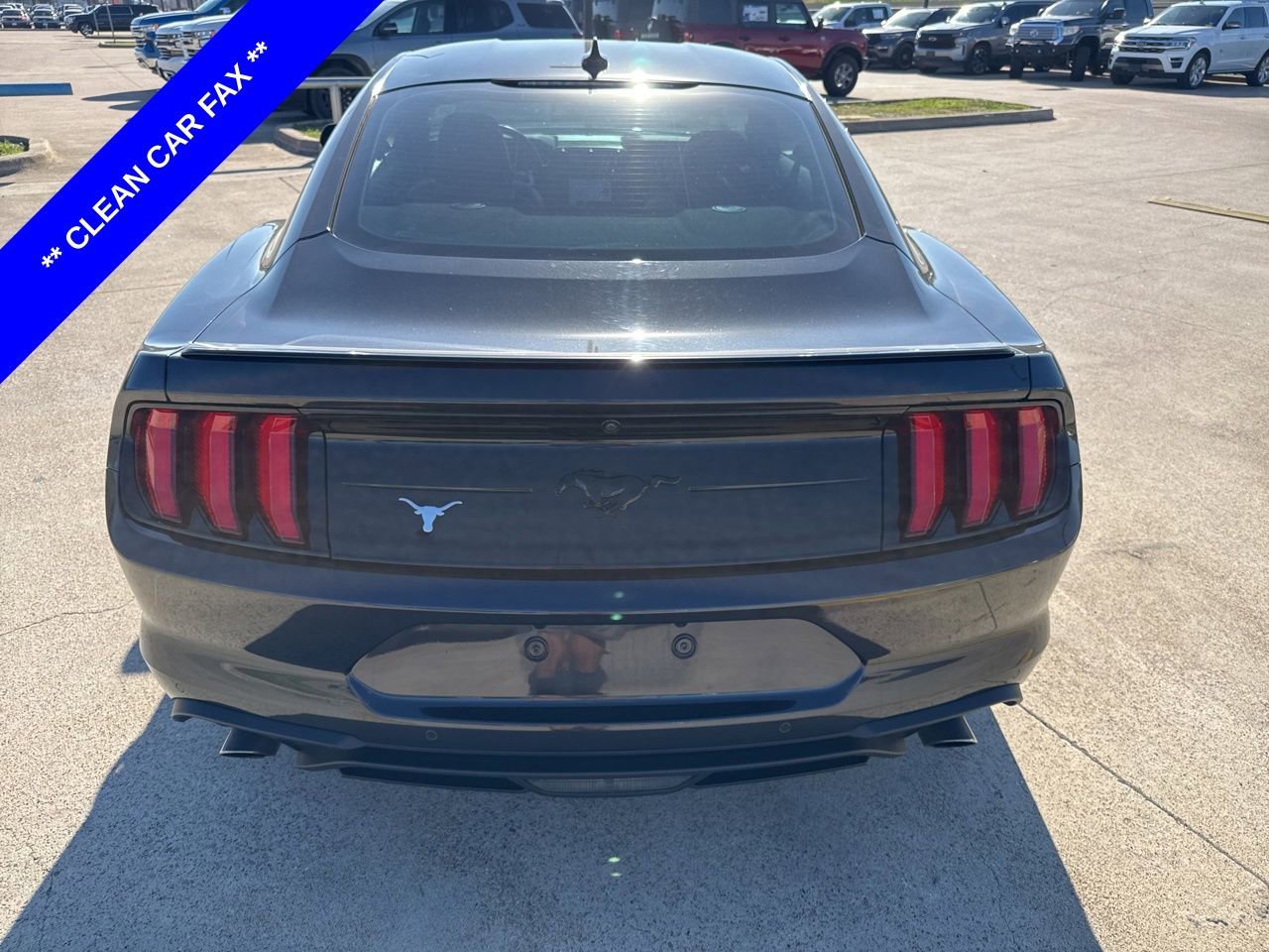 Used 2023 Ford Mustang Premium w/ Equipment Group 201A image 8