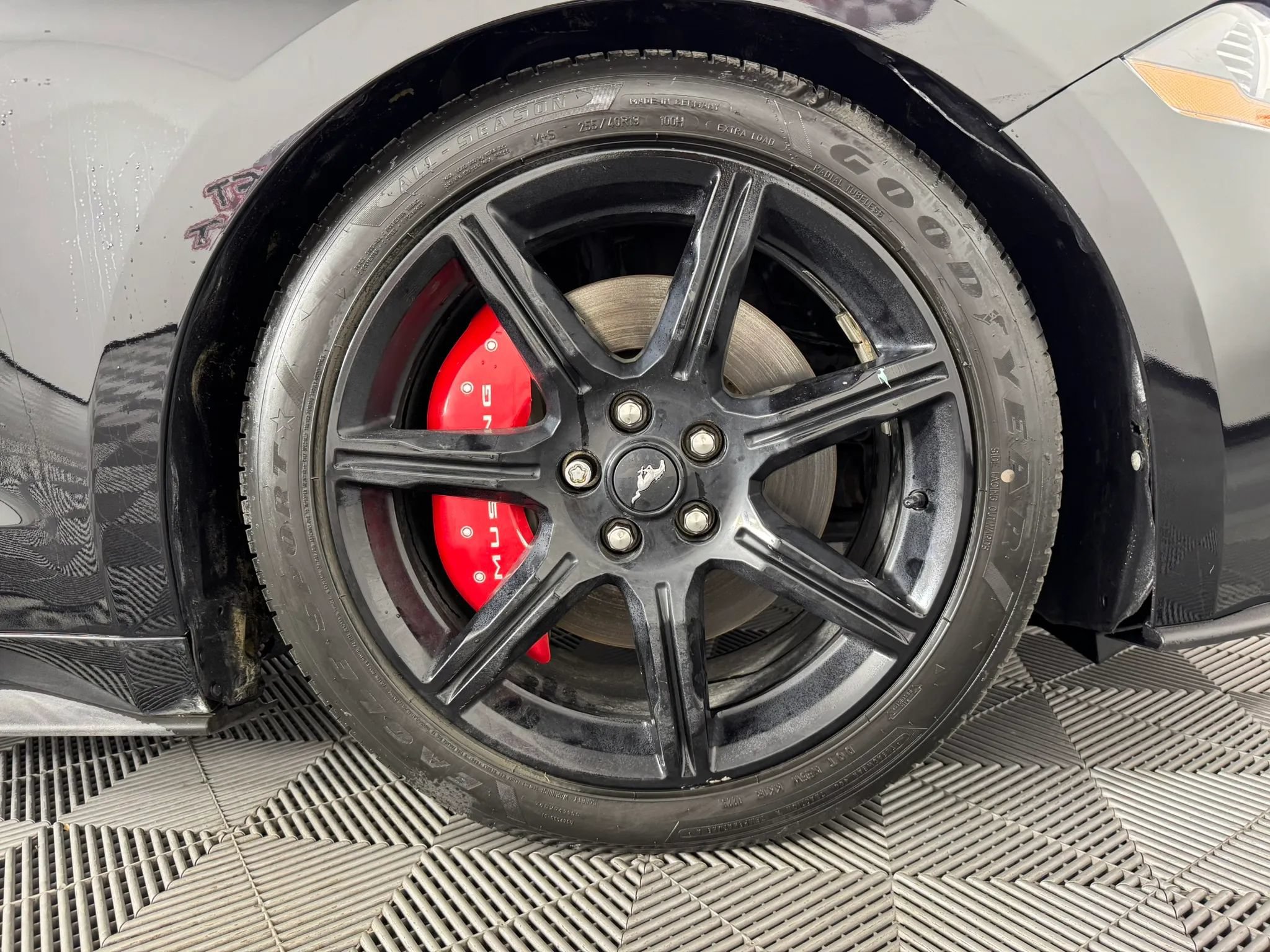 Used 2019 Ford Mustang GT Premium w/ Ford Safe & Smart Package RWD image 38