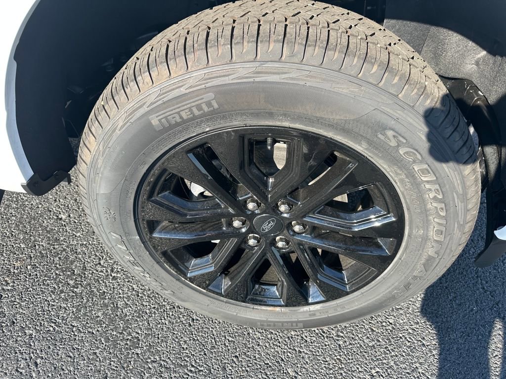 New 2025 Ford F150 XLT w/ Equipment Group 302A MID image 25