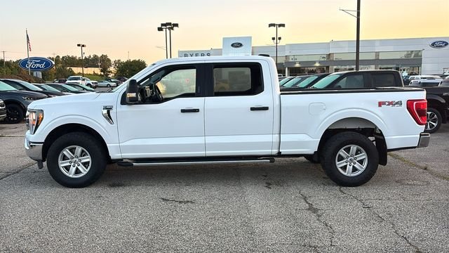 Used 2023 Ford F150 XLT w/ Equipment Group 301A Mid AWD/4WD image 4
