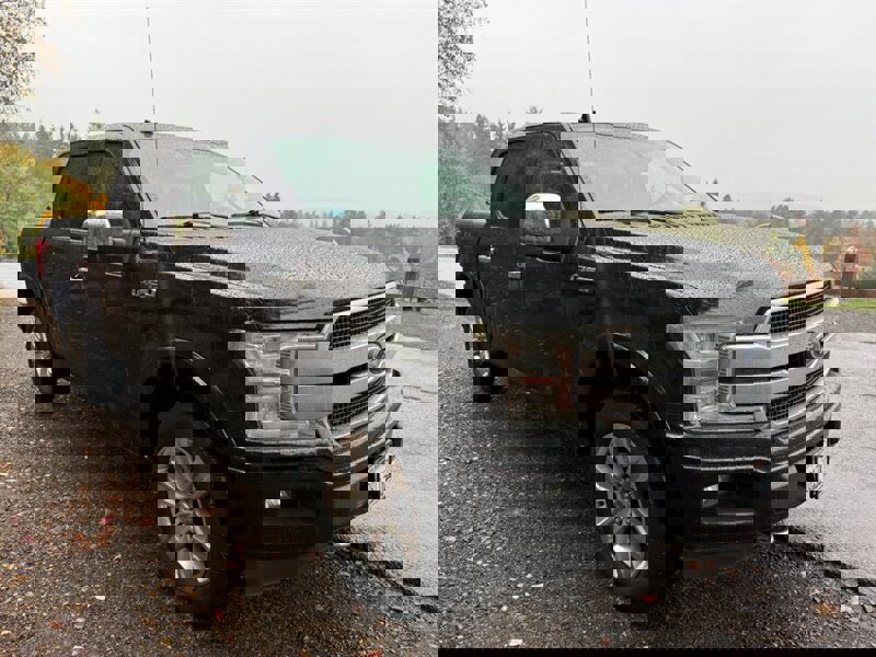 Used 2018 Ford F150 Platinum w/ Equipment Group 701A Luxury image 6