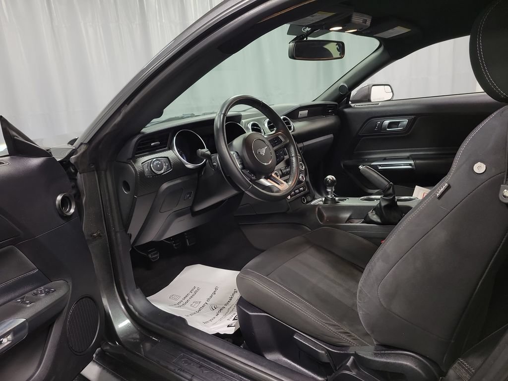 Used 2019 Ford Mustang Coupe RWD image 12