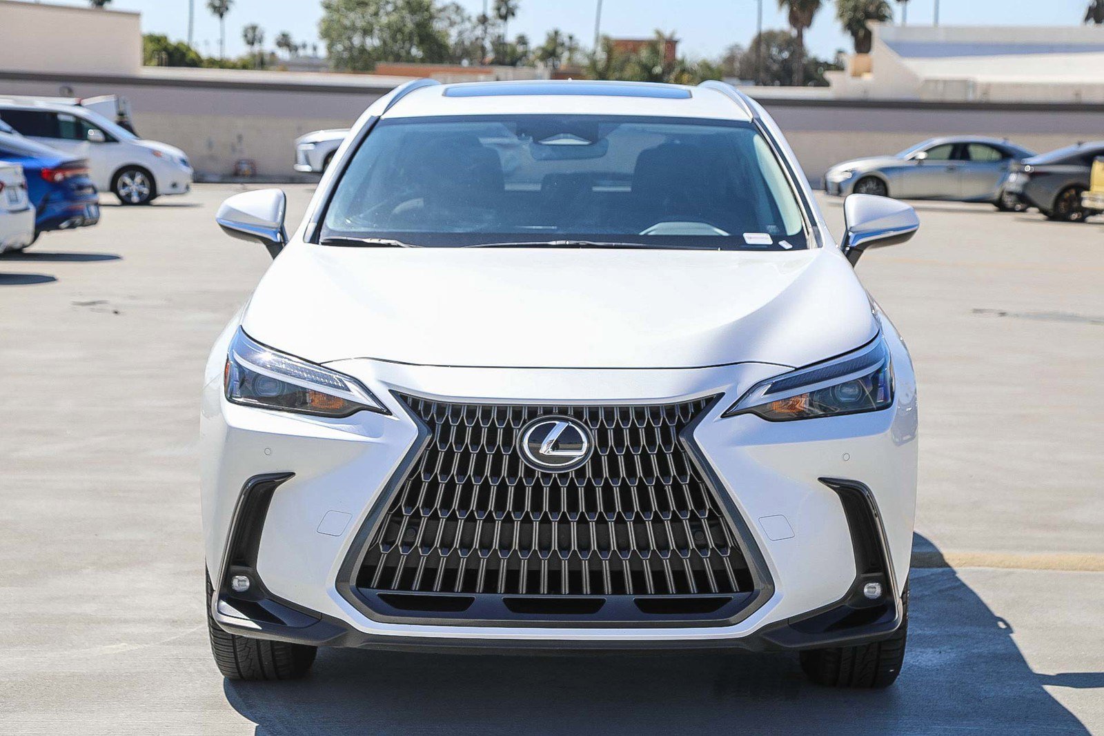 Used 2024 Lexus NX 350 AWD w/ Cold Area Package image 2