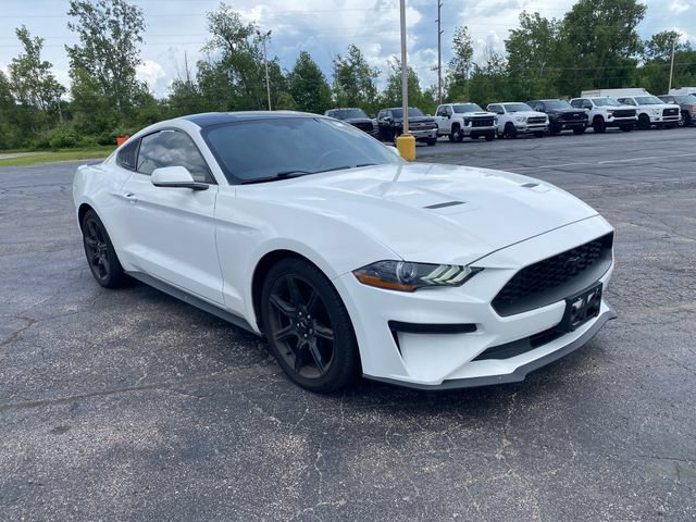 Used 2019 Ford Mustang Coupe w/ Equipment Group 101A RWD image 8