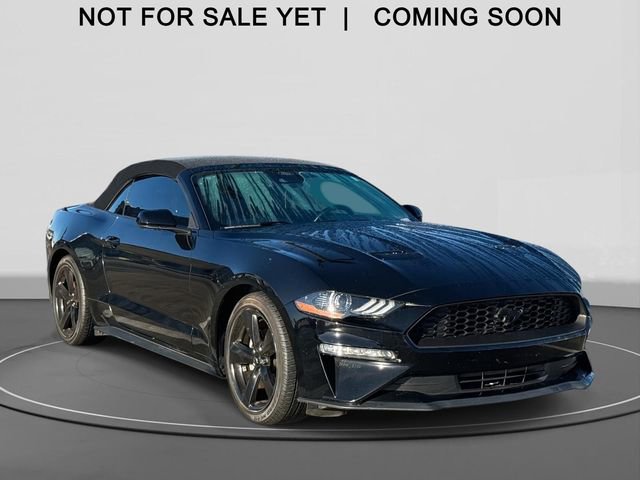 Used 2021 Ford Mustang Convertible w/ Equipment Group 101A image 1