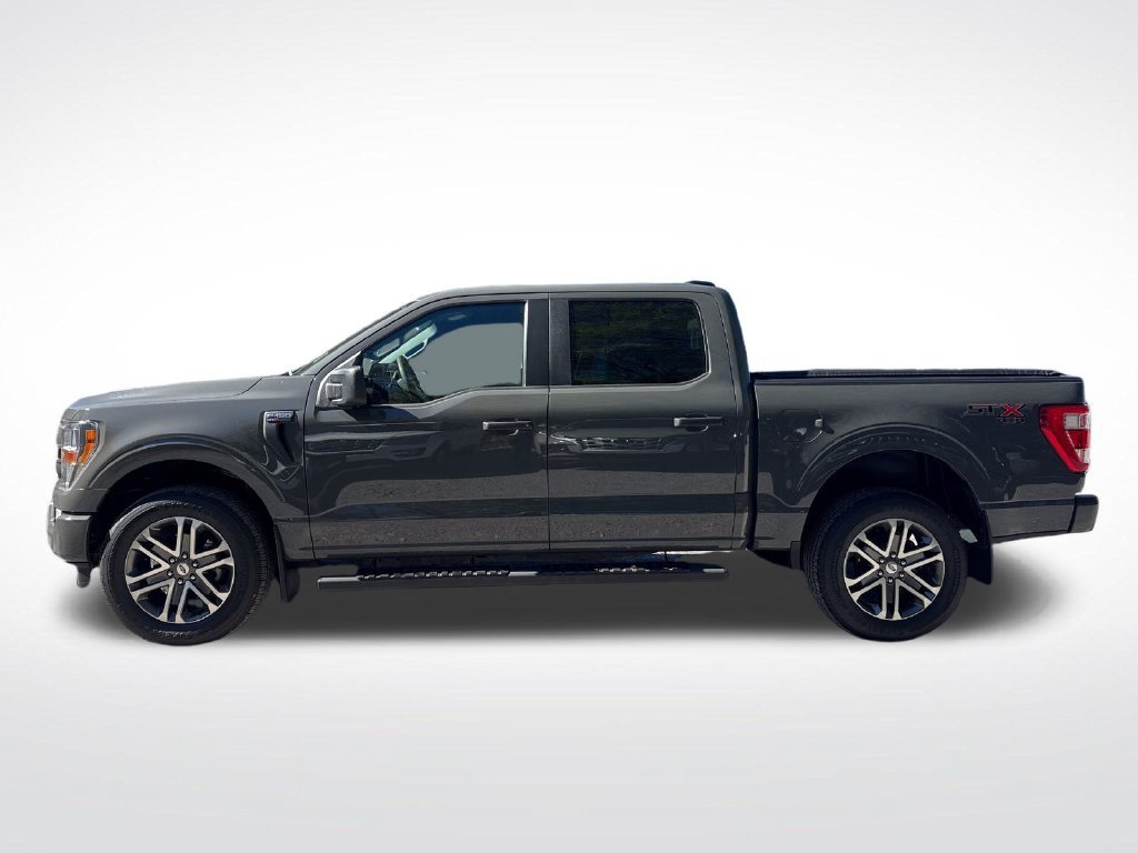 Used 2021 Ford F150 XL w/ STX Appearance Package AWD/4WD image 4