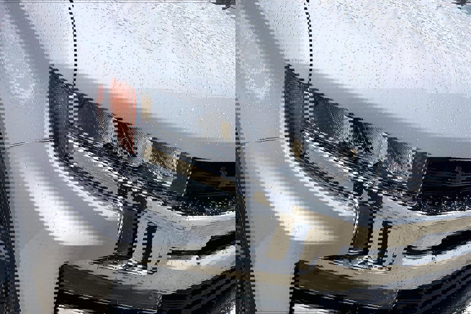 Used 2019 Chevrolet Silverado 1500 LT w/ All-Star Edition image 32