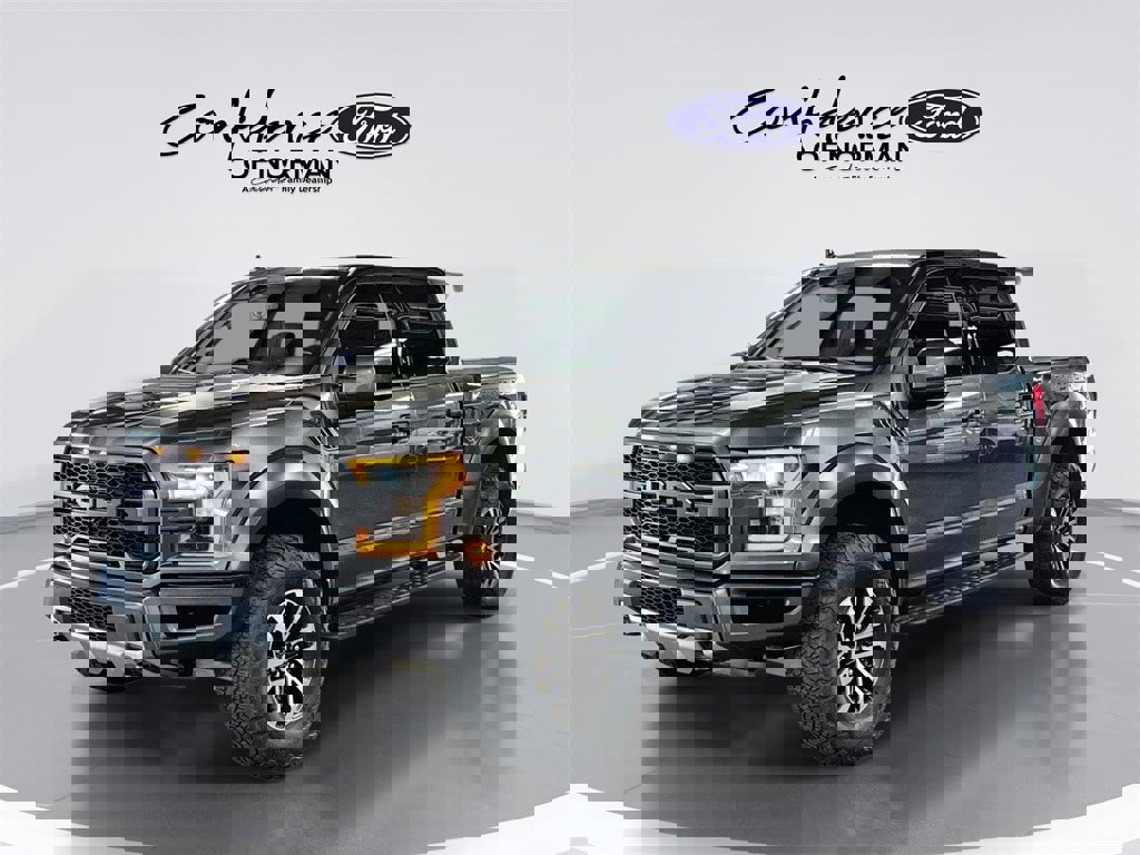 Used 2019 Ford F150 Raptor w/ Equipment Group 802A Luxury image 1