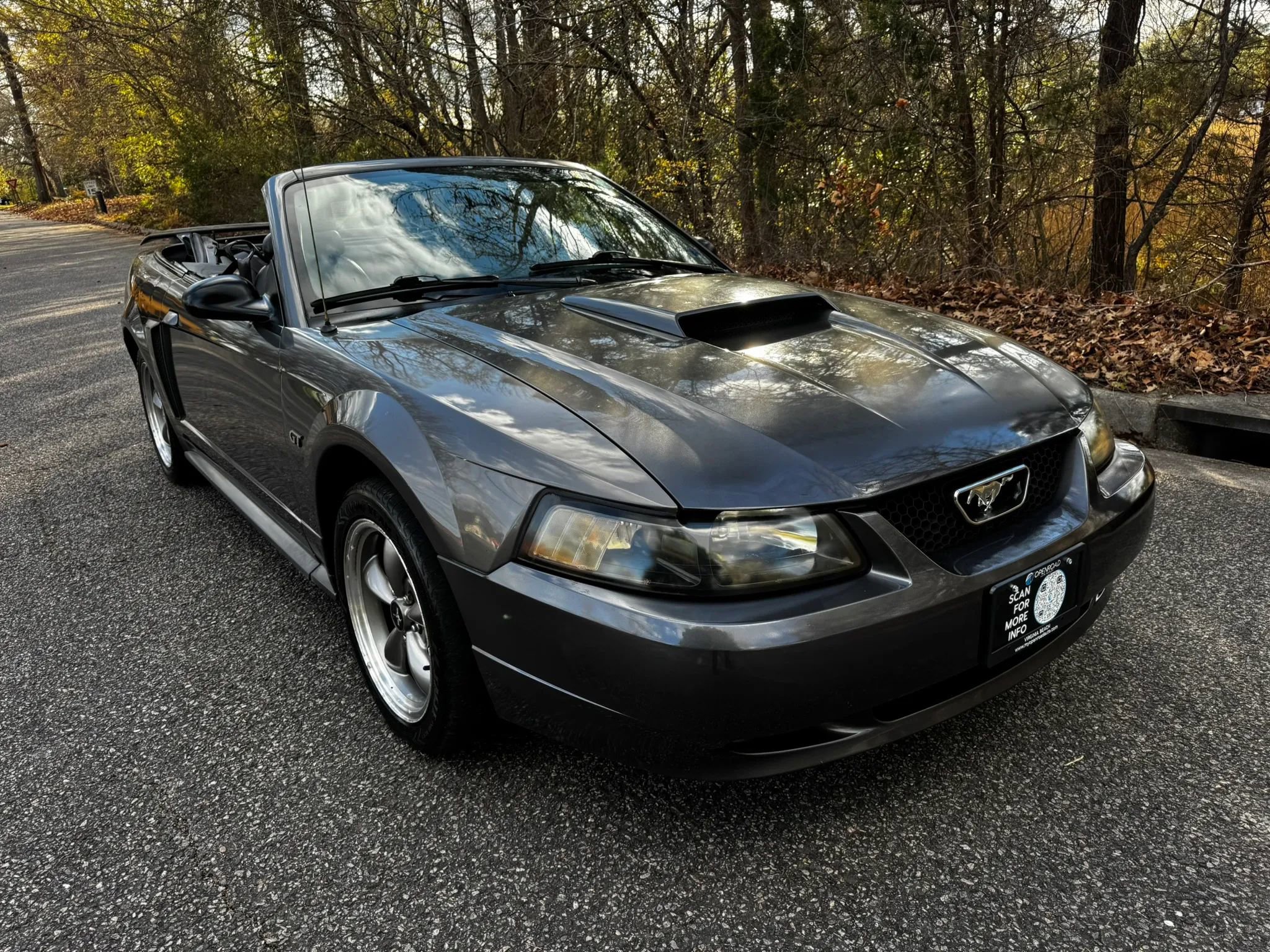Used 2003 Ford Mustang GT image 7