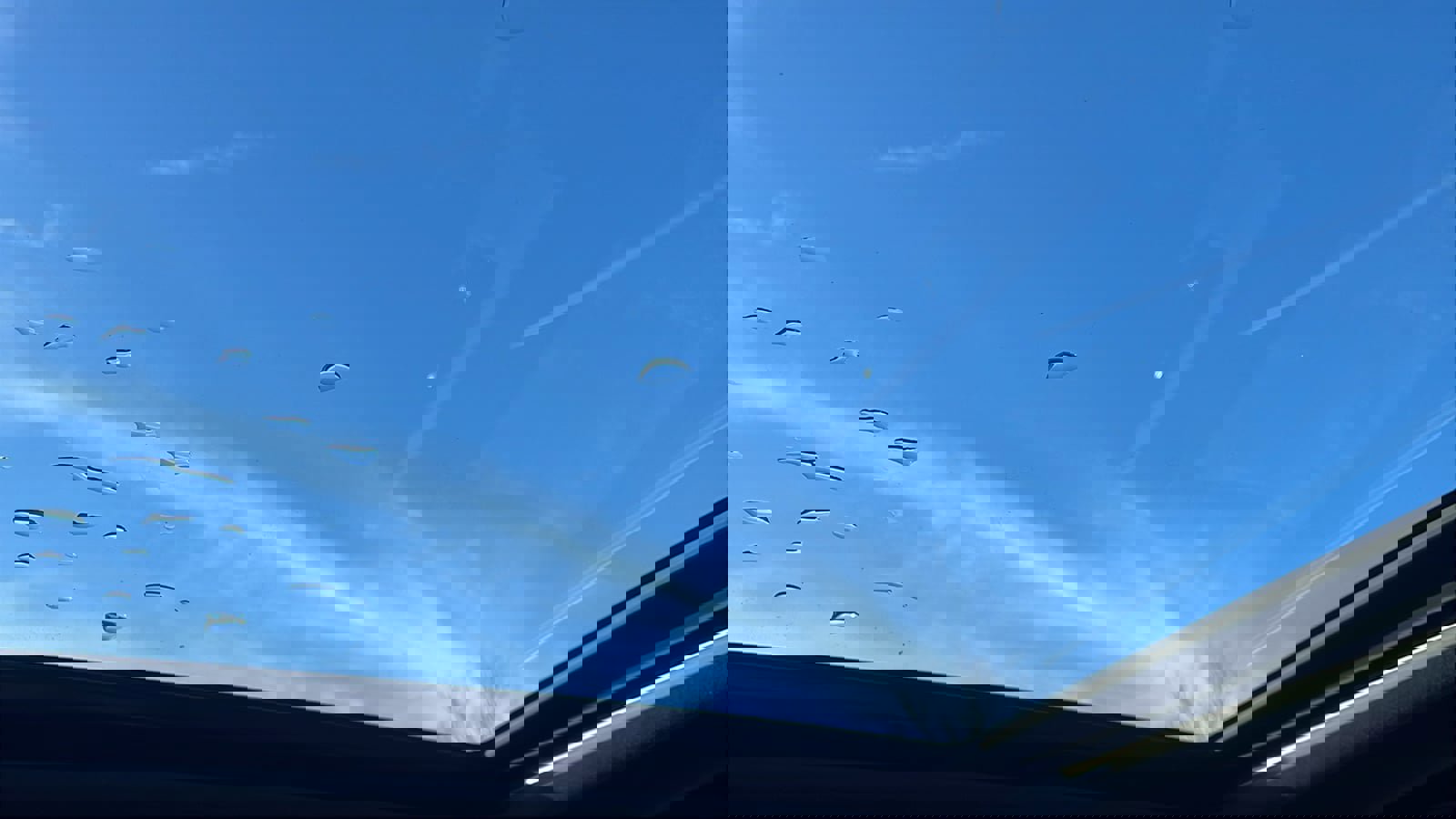 Certified 2025 Subaru Forester Limited image 24