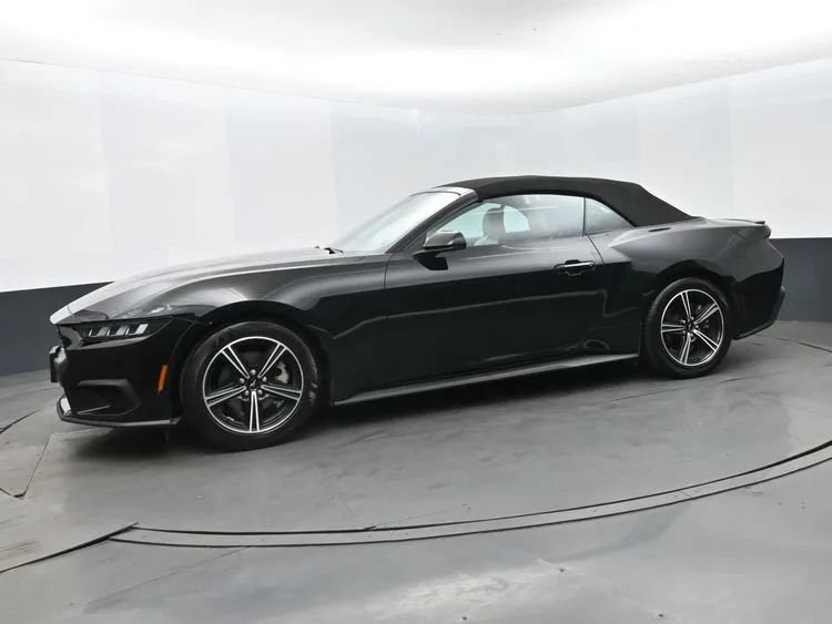 Used 2024 Ford Mustang Premium RWD image 5