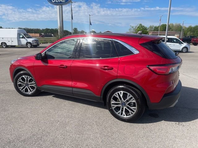 Used 2020 Ford Escape SEL image 6