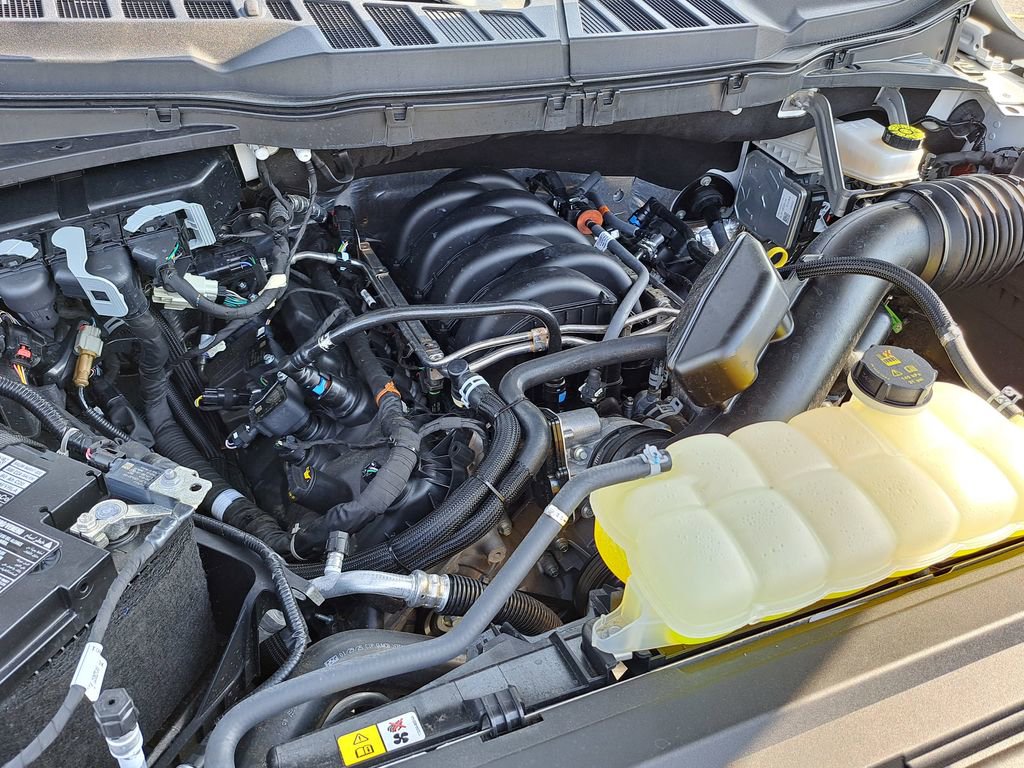 Used 2025 Ford F150 XLT w/ Equipment Group 302A MID image 15