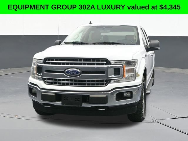Used 2019 Ford F150 XLT w/ Equipment Group 302A Luxury AWD/4WD image 2