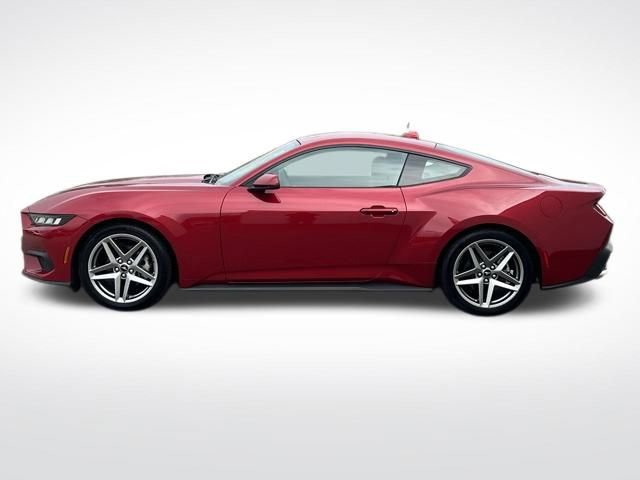 New 2024 Ford Mustang Premium image 13