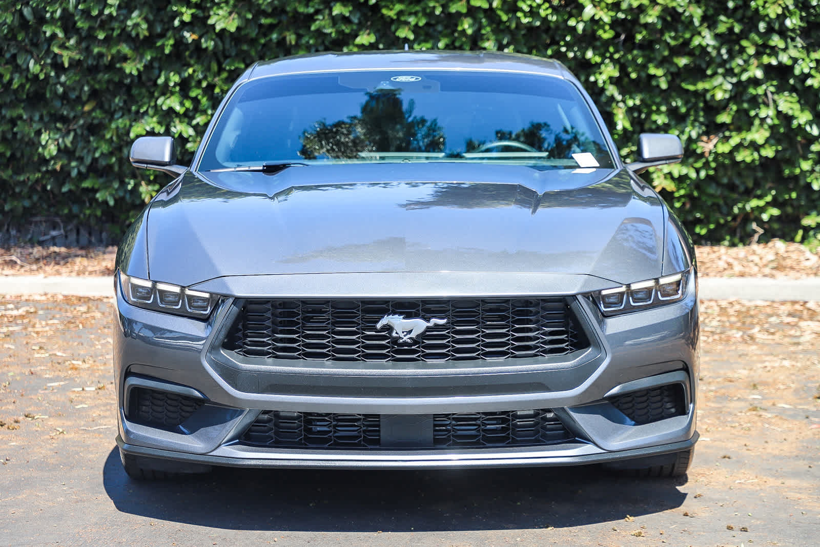 Used 2025 Ford Mustang Coupe RWD image 2