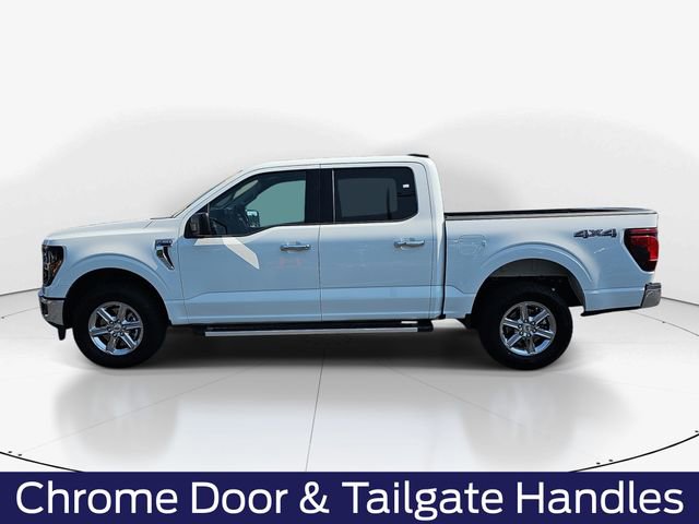 Used 2025 Ford F150 XLT w/ Equipment Group 301A Standard AWD/4WD image 8
