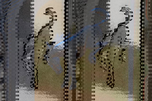 Used 2024 Ford Bronco Raptor image 18