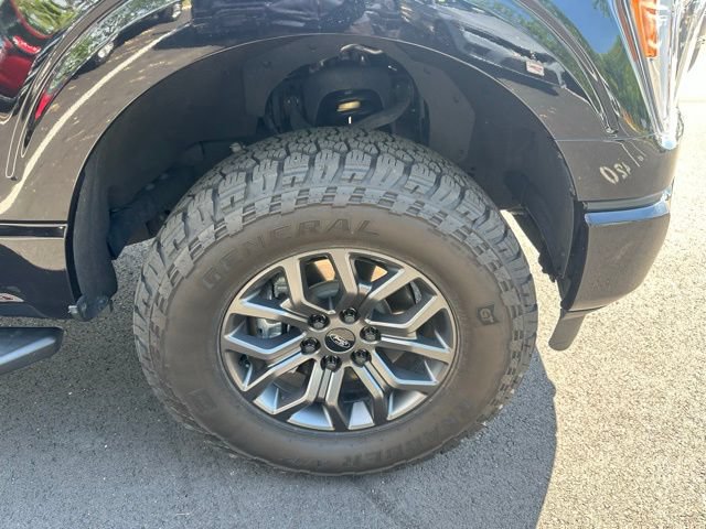 Used 2023 Ford F150 XLT w/ Equipment Group 302A High AWD/4WD image 12