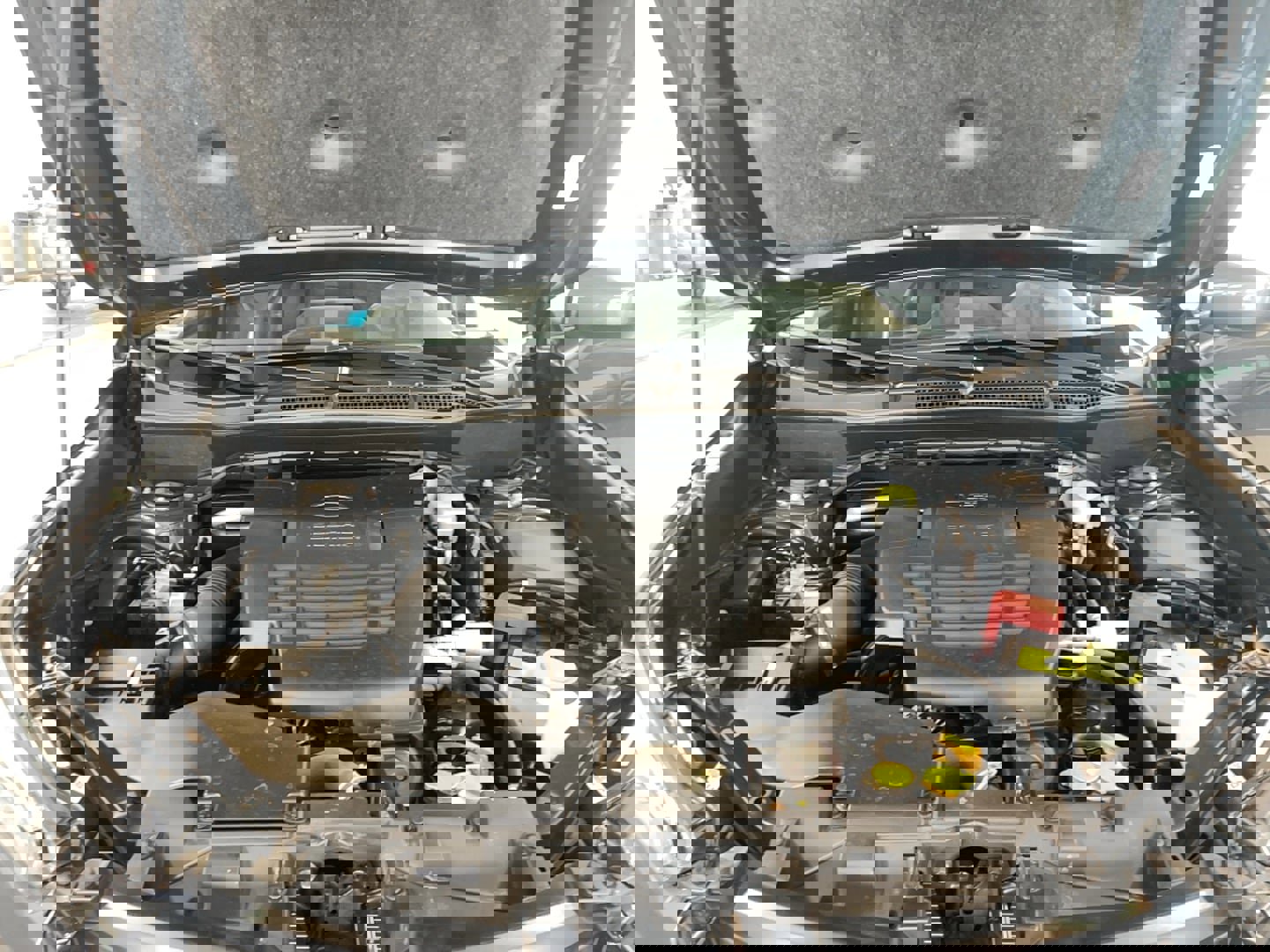 Used 2023 Subaru Forester Premium image 20