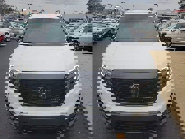 Used 2025 Honda Passport Black Edition image 2