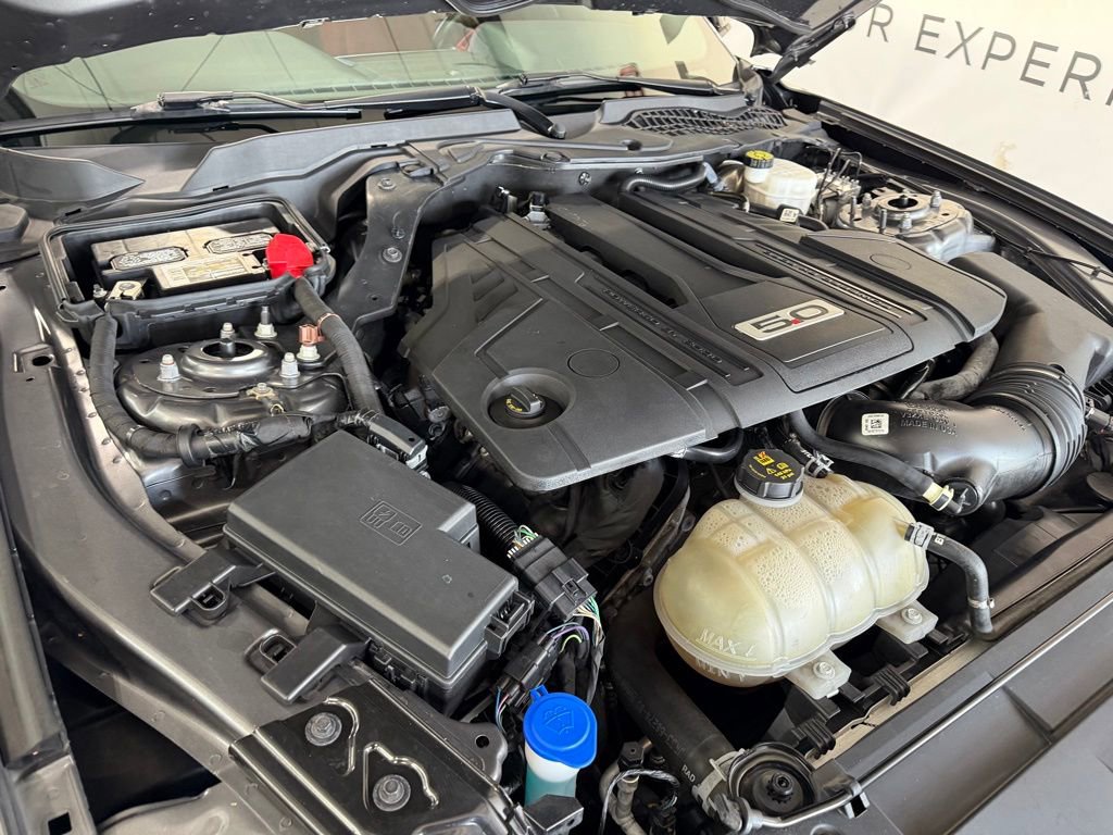 Used 2021 Ford Mustang GT Premium w/ Equipment Group 401A image 8