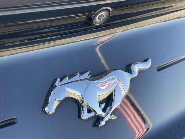 Used 2019 Ford Mustang Premium image 9