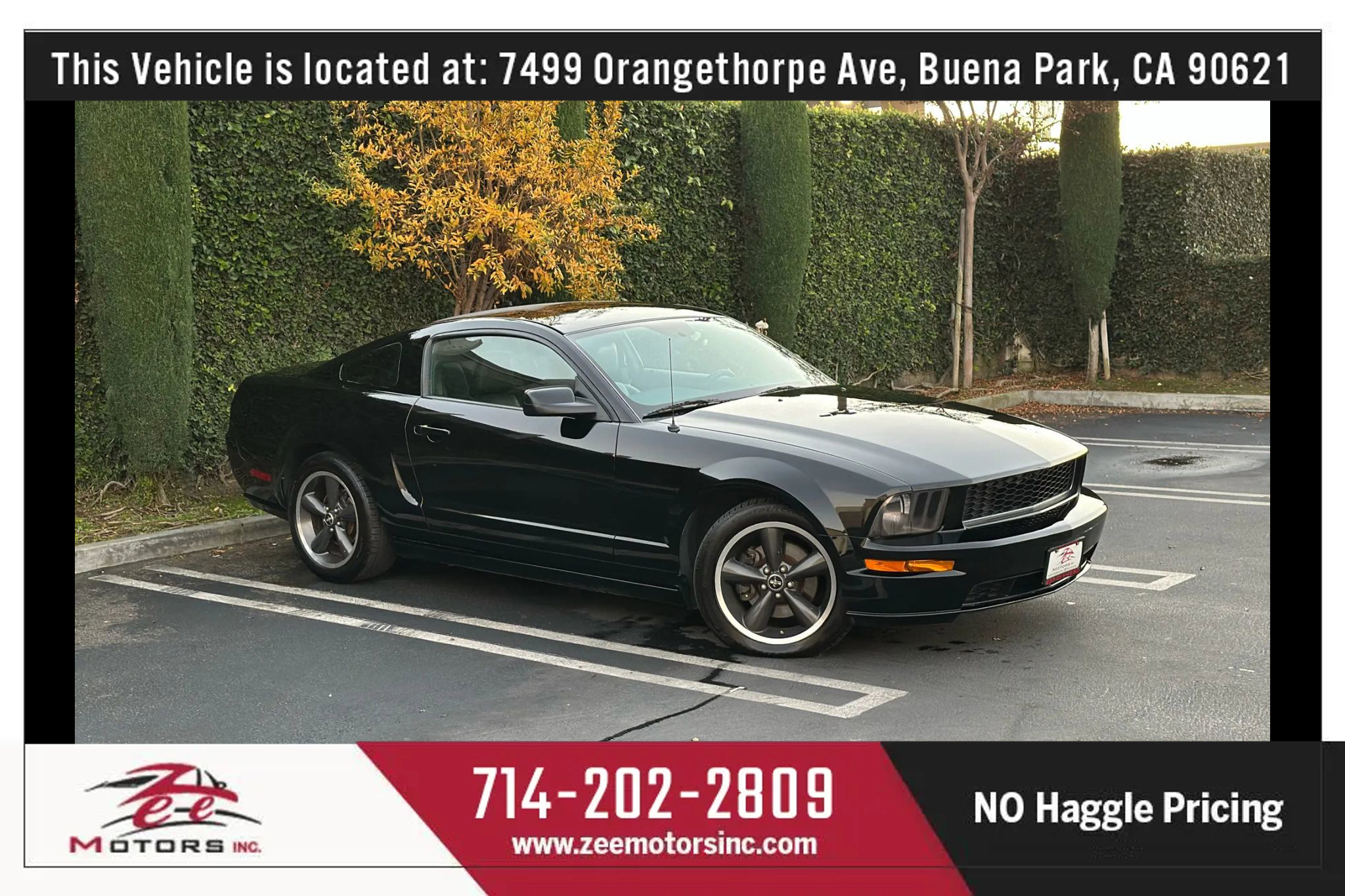 Used 2009 Ford Mustang GT Premium