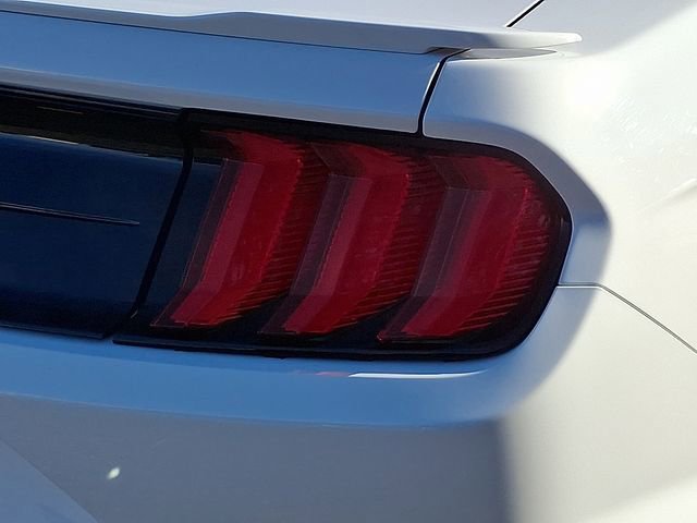 Used 2021 Ford Mustang GT Premium w/ Equipment Group 401A image 12