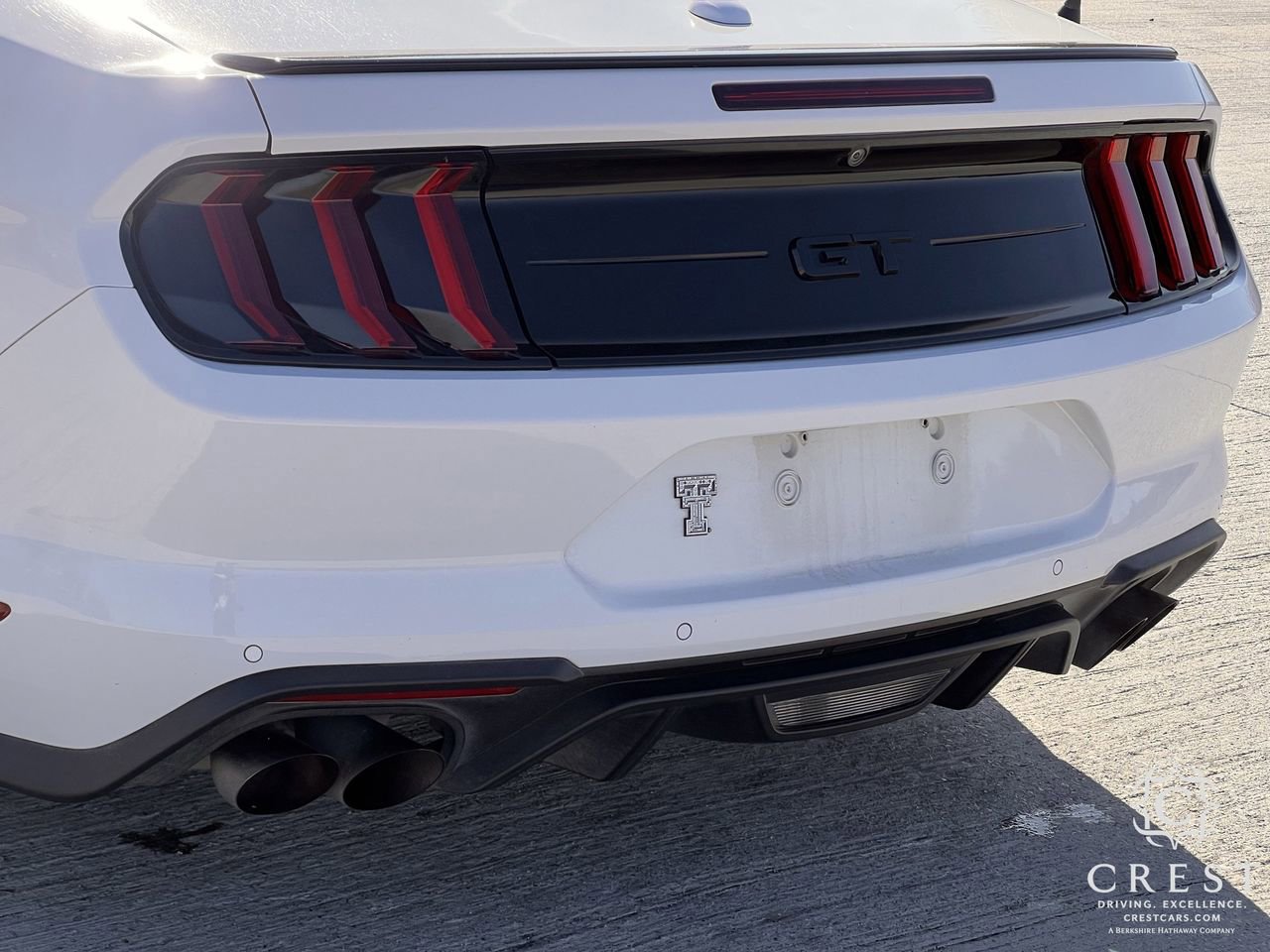 Used 2019 Ford Mustang GT Premium w/ Equipment Group 401A image 7