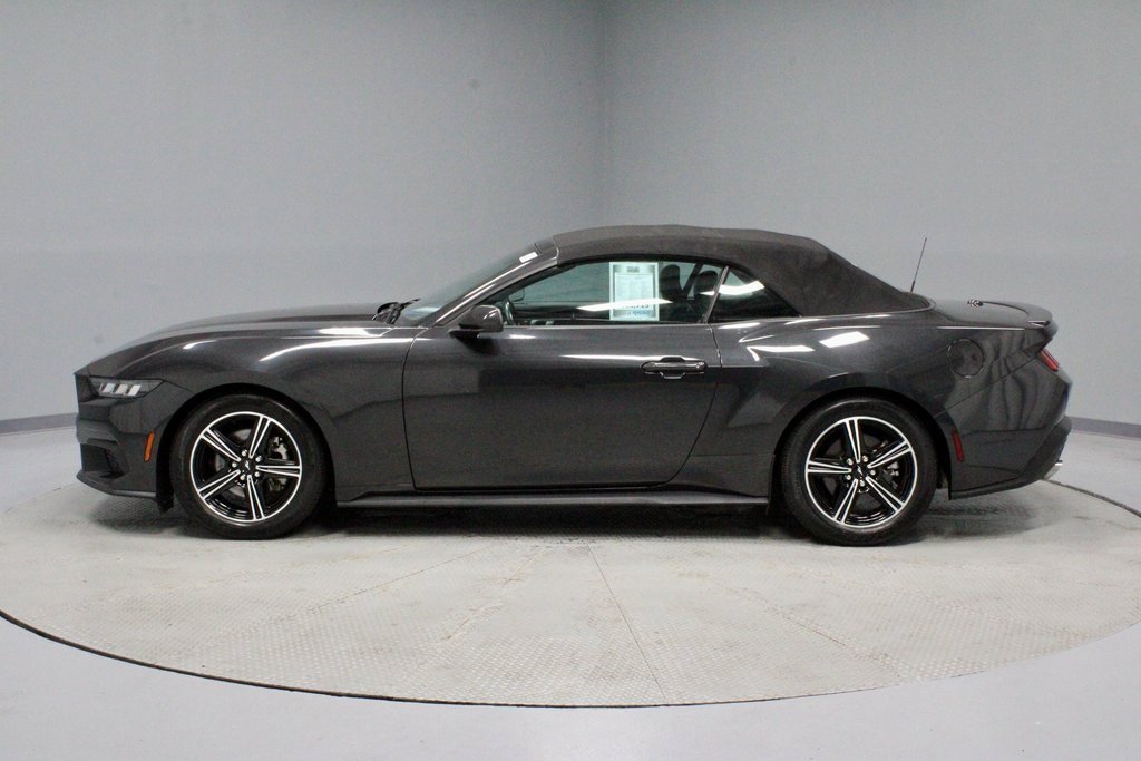 Certified 2024 Ford Mustang Premium image 9