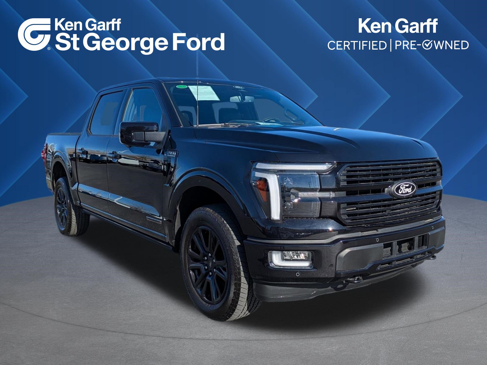 Used 2024 Ford F150 Platinum w/ Equipment Group 702A High