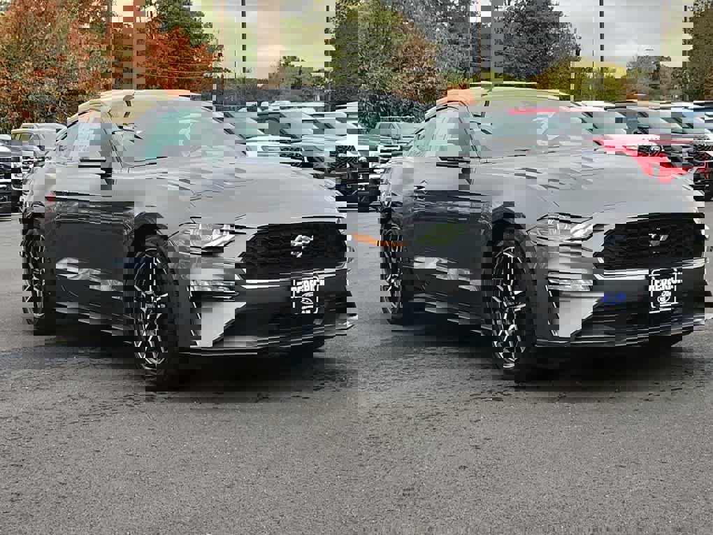 Used 2021 Ford Mustang EcoBoost w/ Equipment Group 101A image 2