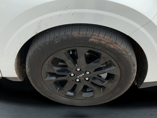 Used 2024 Kia Carnival SX Prestige image 28