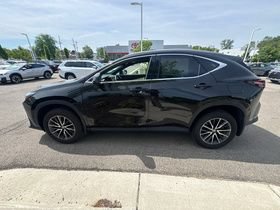 Used 2024 Lexus NX 350 AWD w/ Cold Area Package image 6