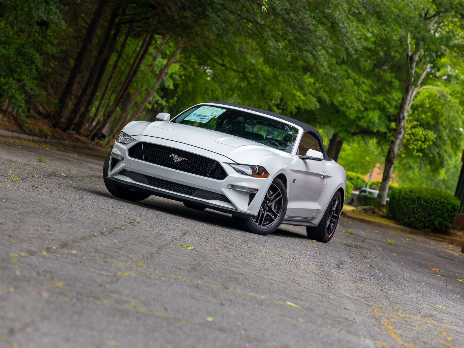 Used 2019 Ford Mustang GT Premium w/ Equipment Group 401A RWD image 22