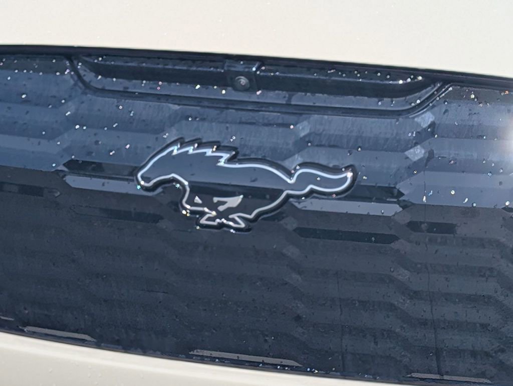 New 2025 Ford Mustang Mach-E GT AWD/4WD image 12
