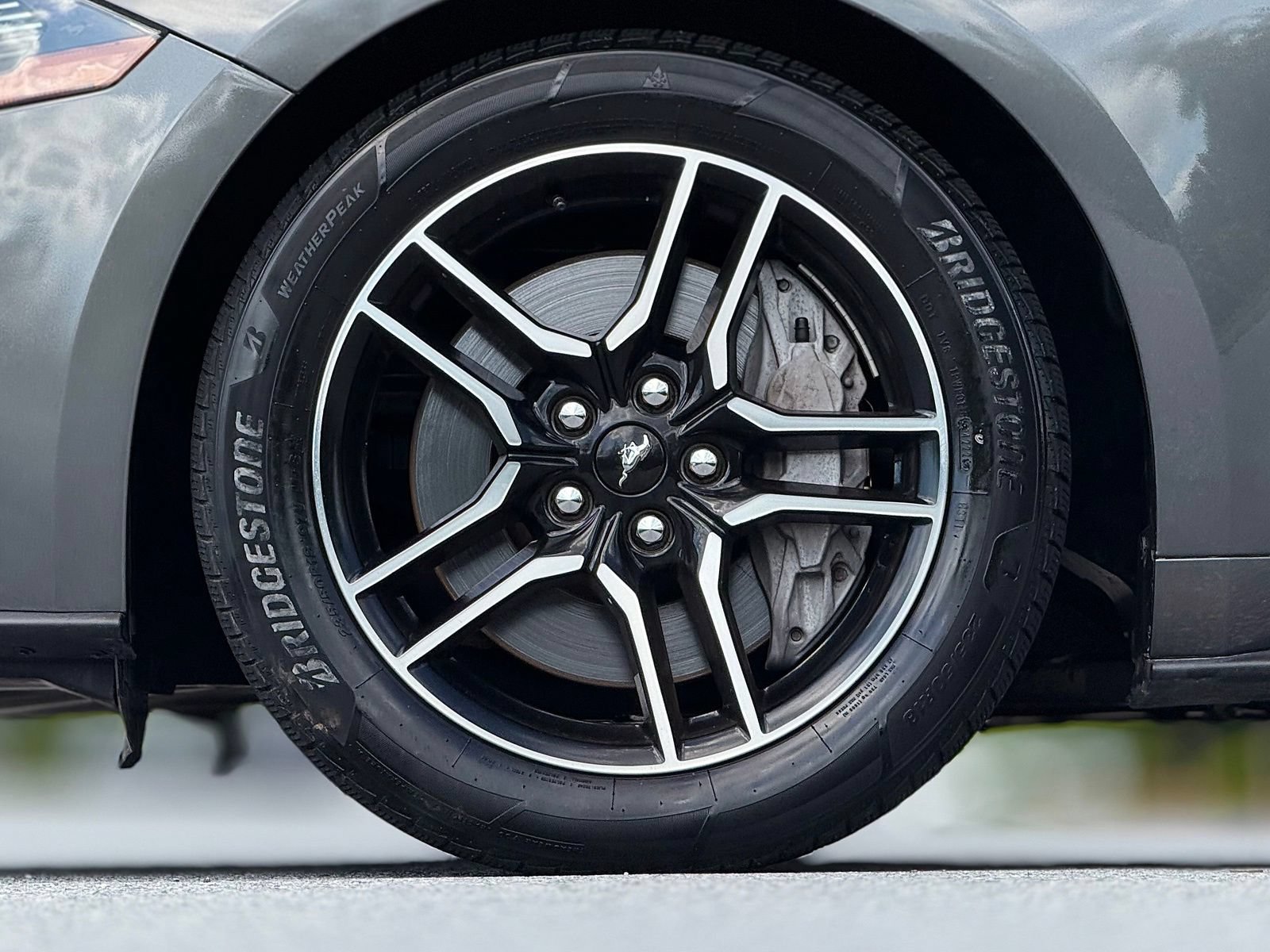 Used 2019 Ford Mustang GT w/ Equipment Group 301A RWD image 18