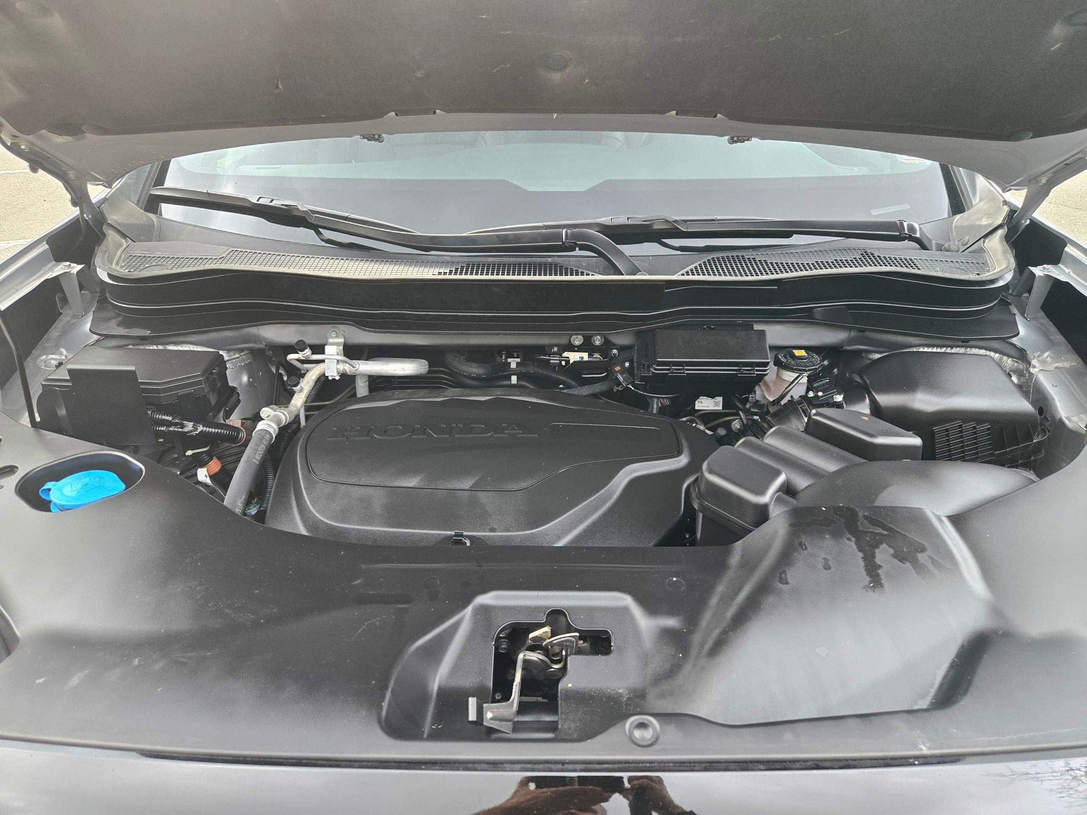 Certified 2024 Honda Passport TrailSport image 31