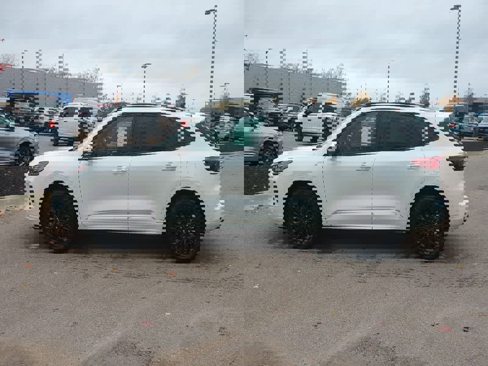 Used 2024 Ford Escape ST-Line Elite w/ Premium Technology Package image 5