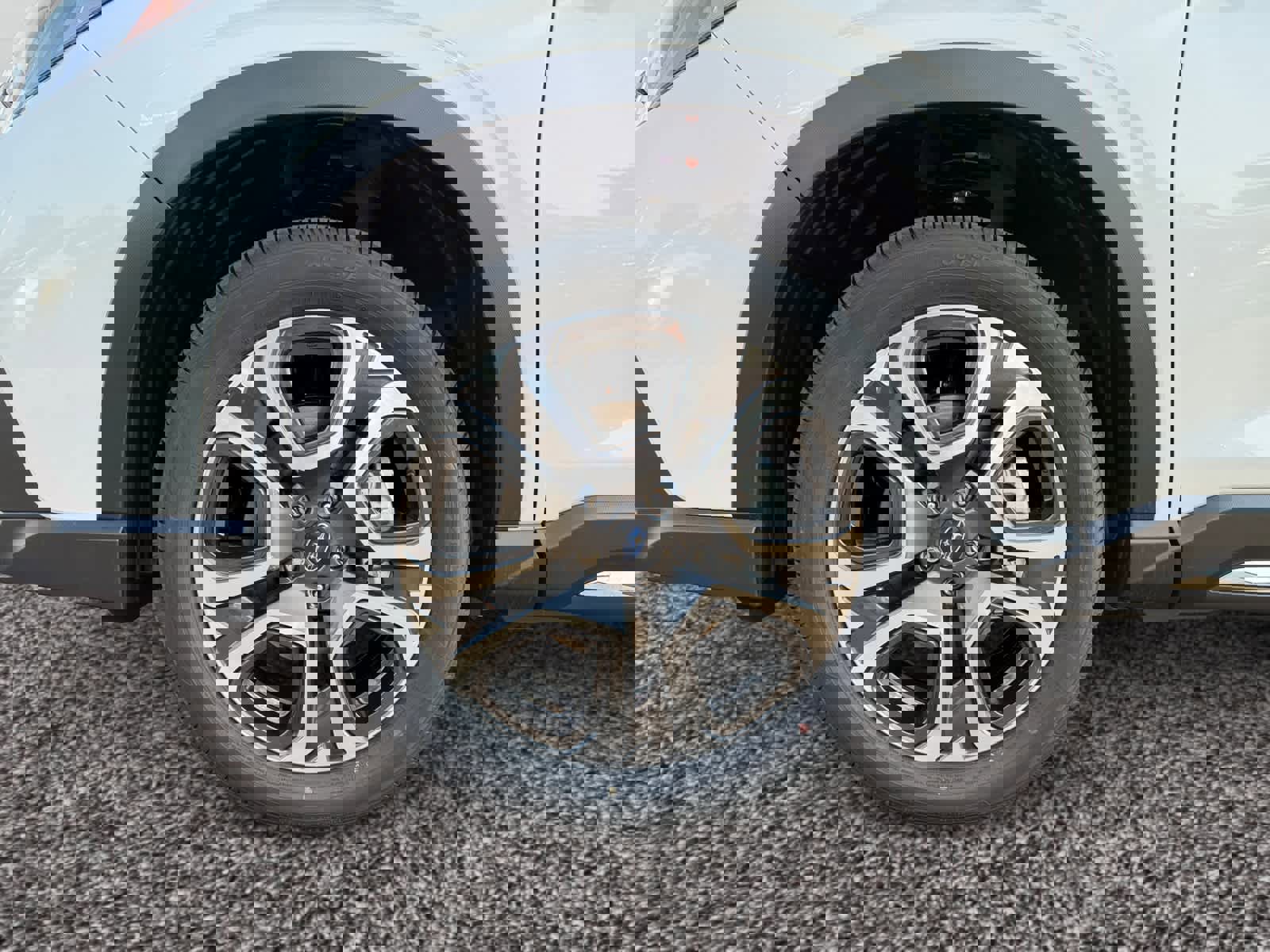 New 2025 Subaru Ascent Limited image 14